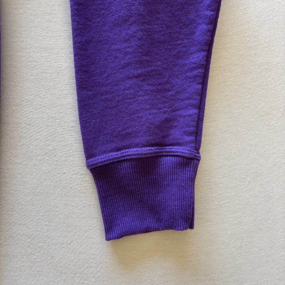 Unisex Champion Purple “Team Up” Hoodie Set Size S & M Matching Bundle - Picture 7 of 15